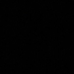 Meet your Posher, Grayson